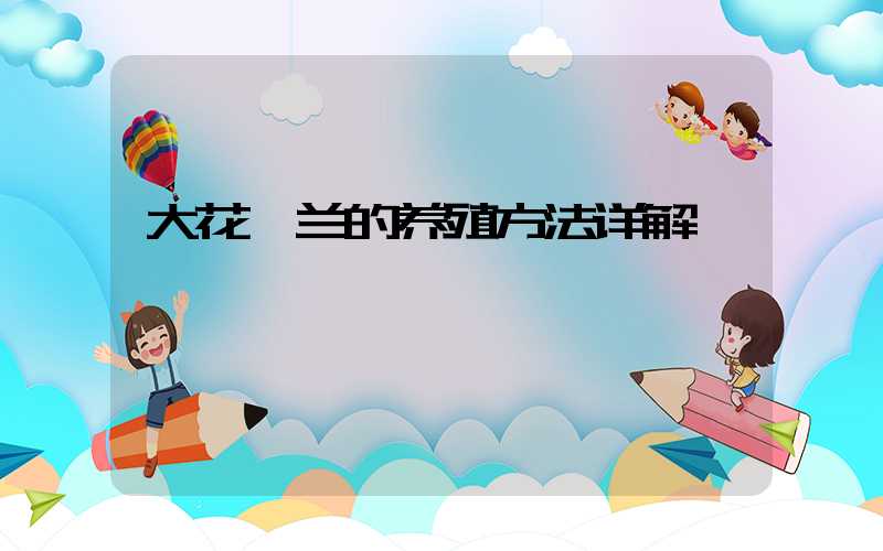 大花蕙兰的养殖方法详解