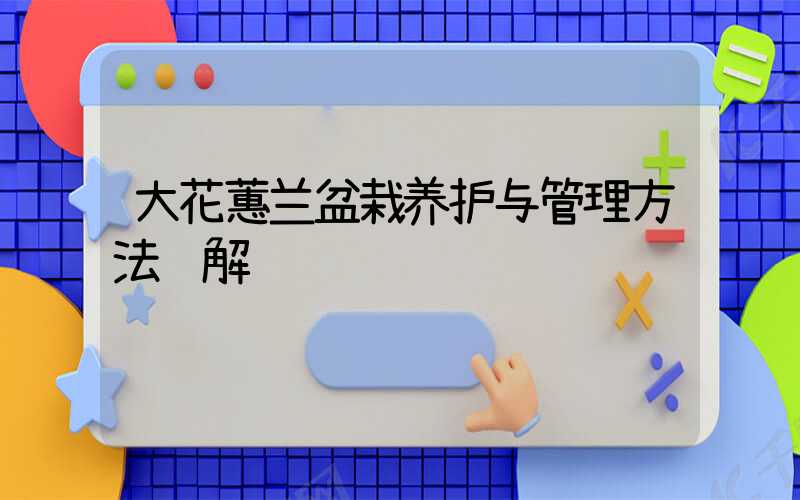 大花蕙兰盆栽养护与管理方法详解