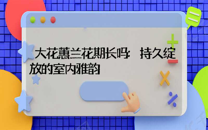 大花蕙兰花期长吗:持久绽放的室内雅韵