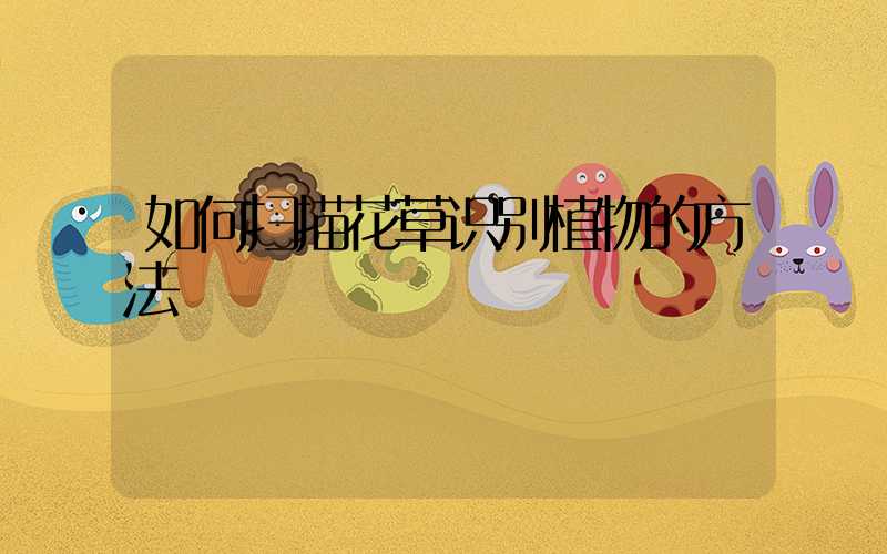 如何扫描花草识别植物的方法