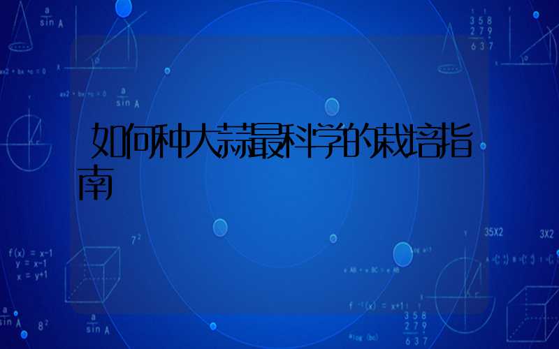 如何种大蒜最科学的栽培指南