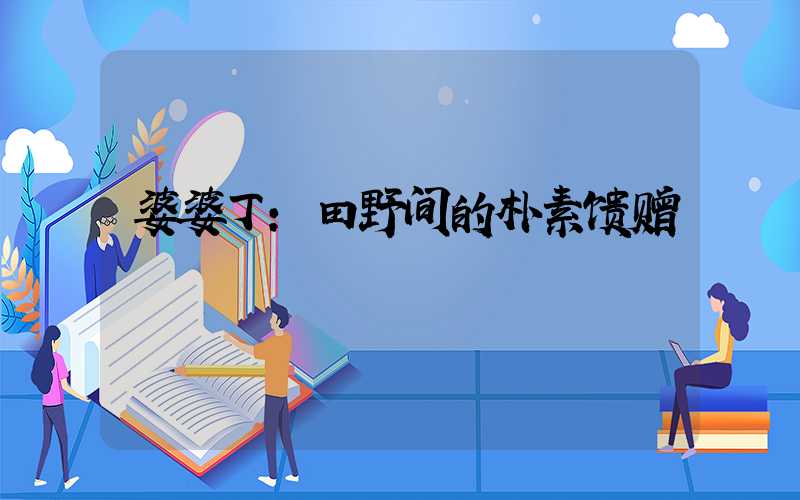 婆婆丁:田野间的朴素馈赠