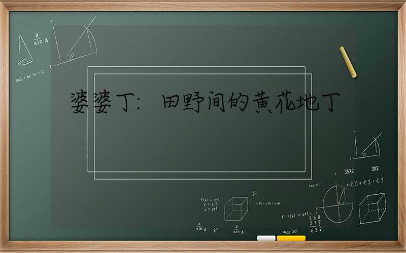 婆婆丁:田野间的黄花地丁