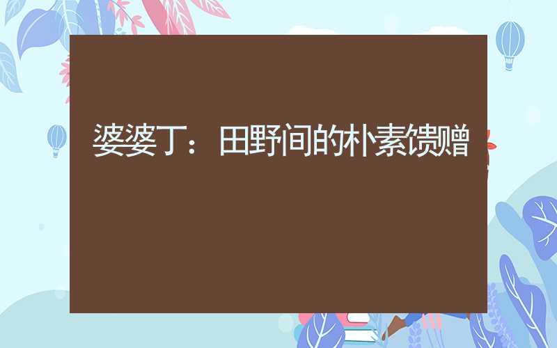 婆婆丁：田野间的朴素馈赠