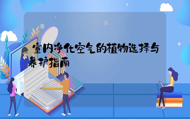 室内净化空气的植物选择与养护指南