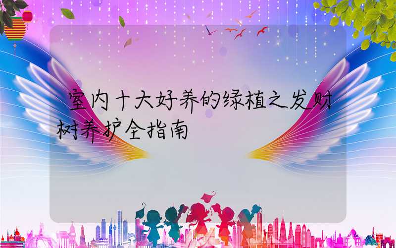 室内十大好养的绿植之发财树养护全指南