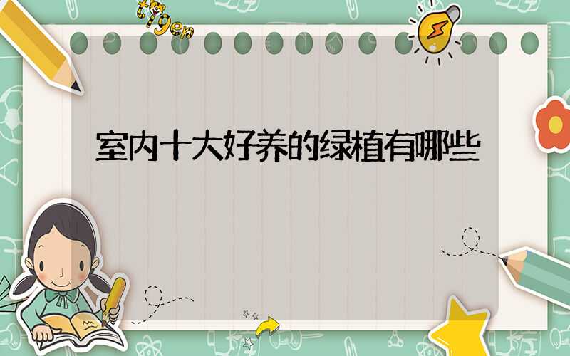 室内十大好养的绿植有哪些