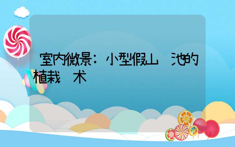 室内微景:小型假山鱼池的植栽艺术
