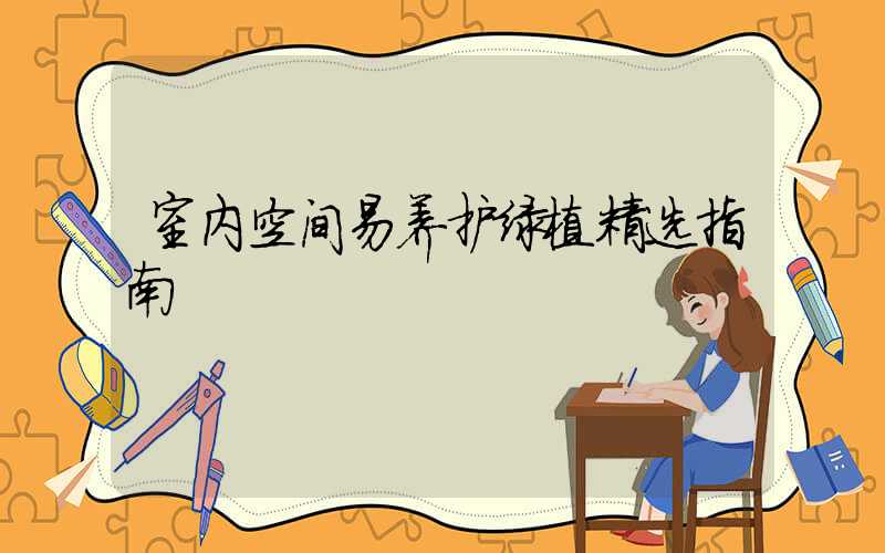 室内空间易养护绿植精选指南