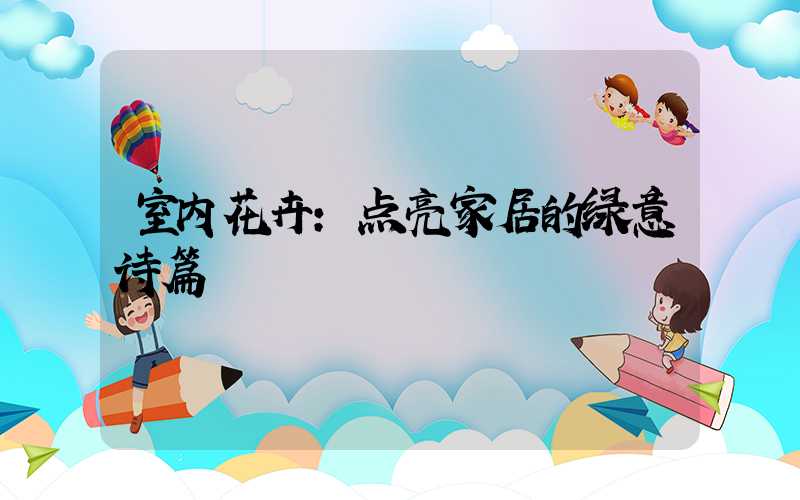 室内花卉:点亮家居的绿意诗篇