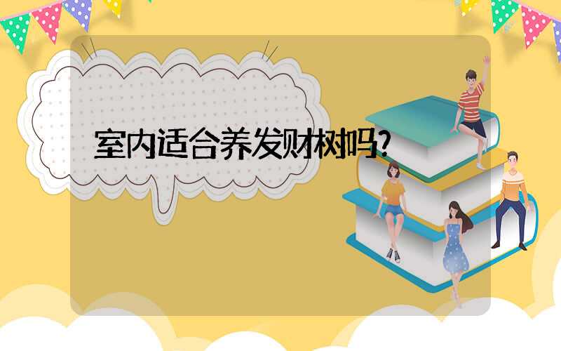 室内适合养发财树吗？