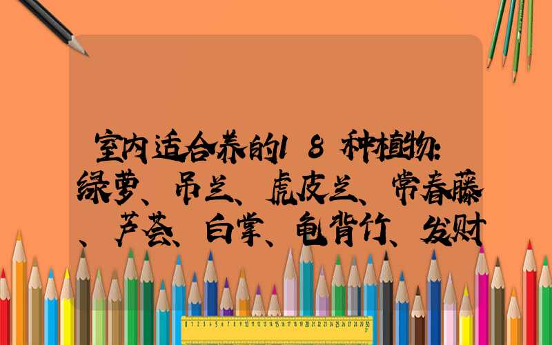 室内适合养的18种植物：绿萝、吊兰、虎皮兰、常春藤、芦荟、白掌、龟背竹、发财树、文竹、仙人掌、金钱树、袖珍椰子、琴叶榕、空气凤梨、波士顿蕨、豆瓣绿、君子兰、万年青