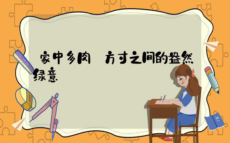 家中多肉:方寸之间的盎然绿意