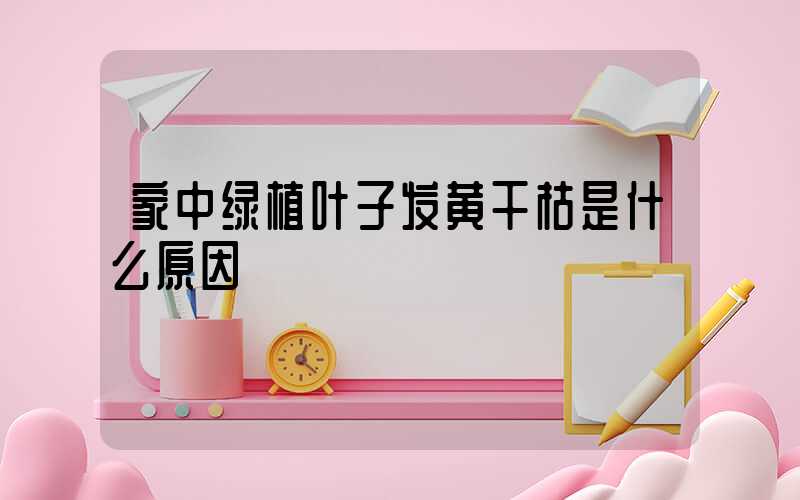 家中绿植叶子发黄干枯是什么原因