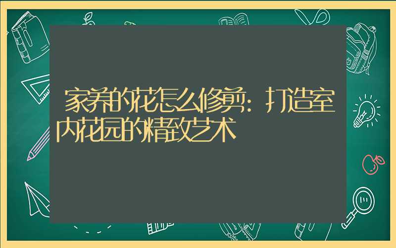 家养的花怎么修剪:打造室内花园的精致艺术