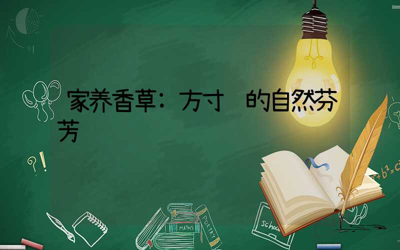 家养香草:方寸间的自然芬芳