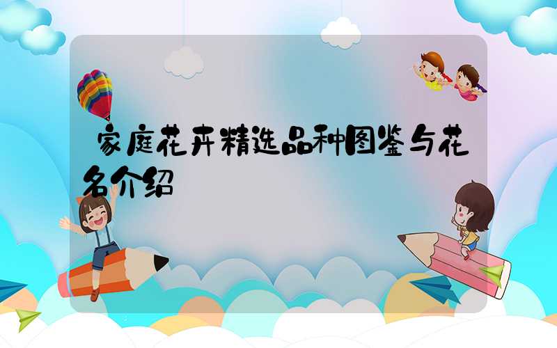 家庭花卉精选品种图鉴与花名介绍