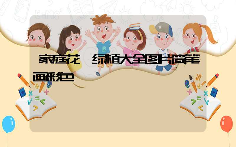 家庭花卉绿植大全图片简笔画彩色