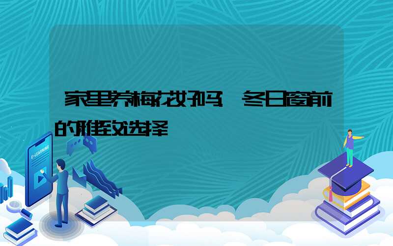 家里养梅花好吗:冬日窗前的雅致选择