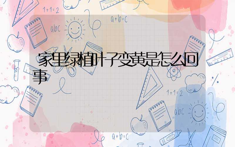 家里绿植叶子变黄是怎么回事