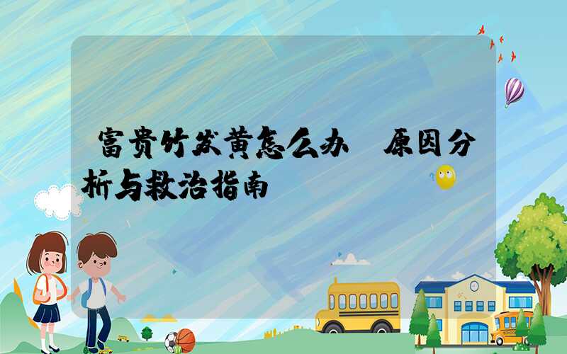 富贵竹发黄怎么办:原因分析与救治指南