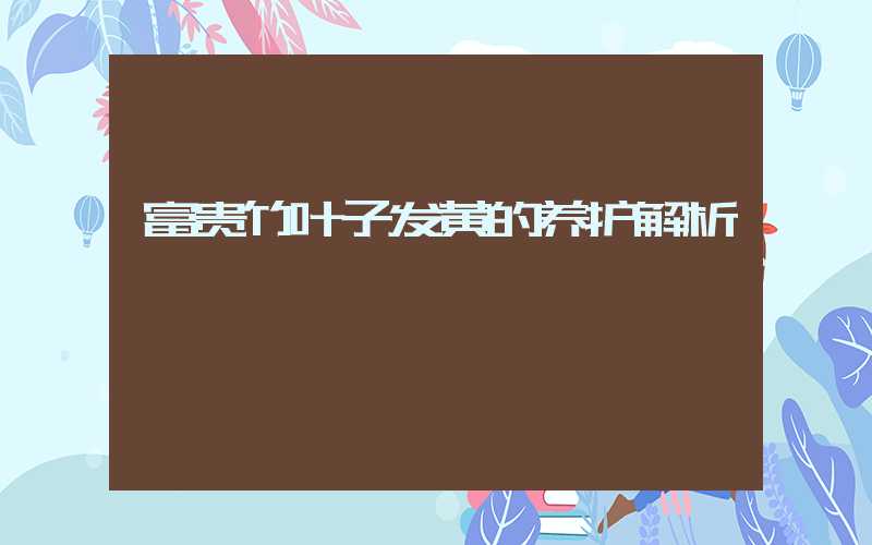 富贵竹叶子发黄的养护解析