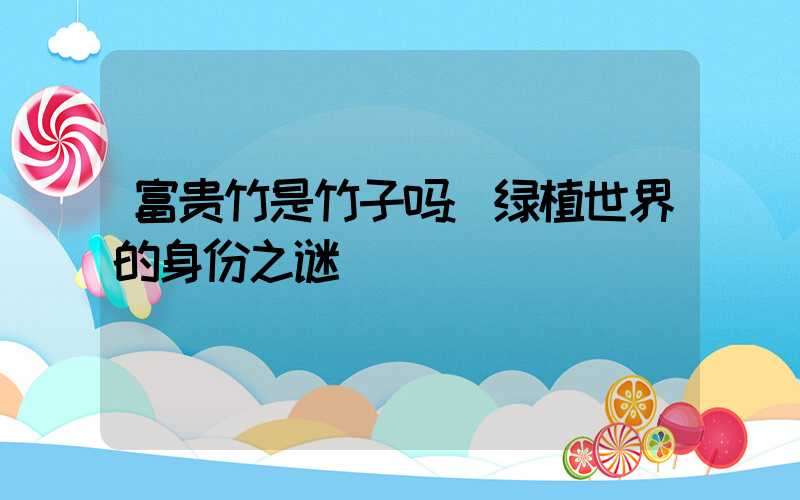 富贵竹是竹子吗:绿植世界的身份之谜