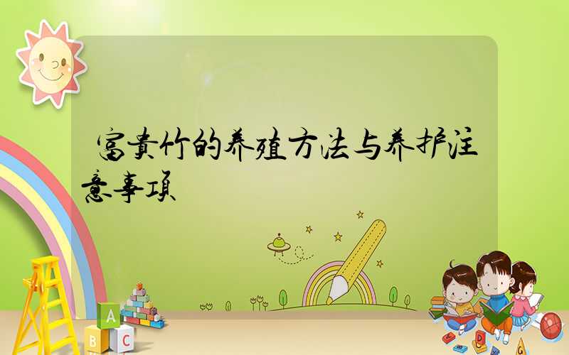 富贵竹的养殖方法与养护注意事项