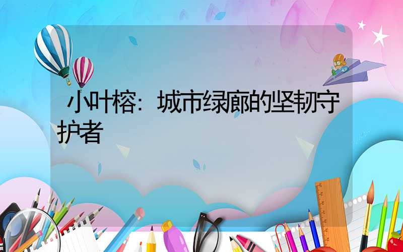 小叶榕:城市绿廊的坚韧守护者