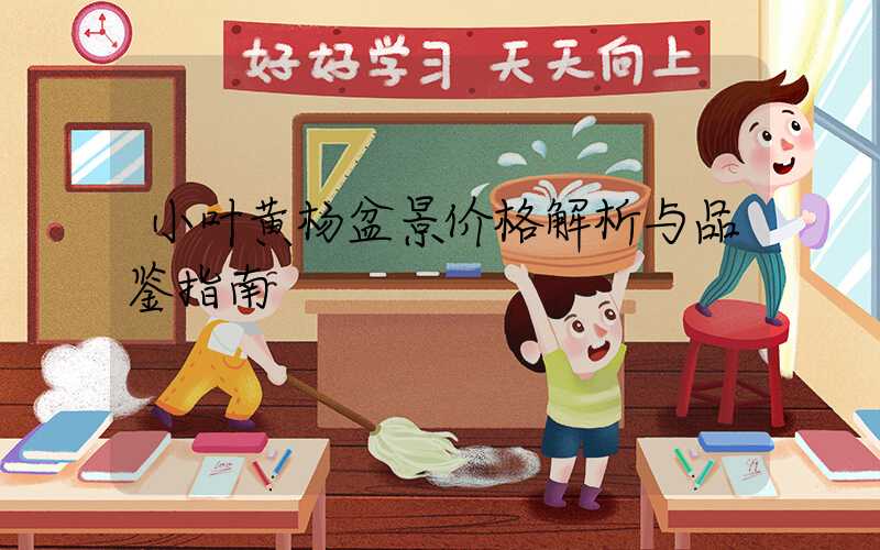 小叶黄杨盆景价格解析与品鉴指南