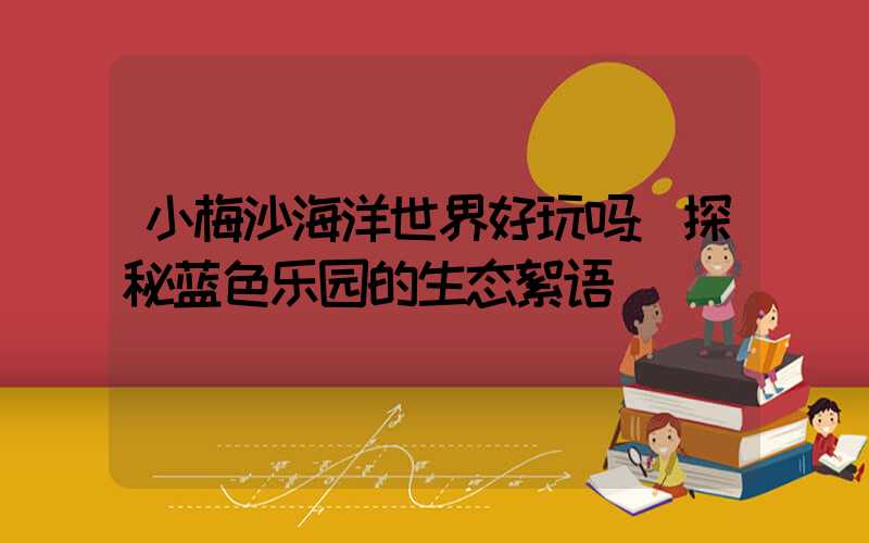 小梅沙海洋世界好玩吗:探秘蓝色乐园的生态絮语
