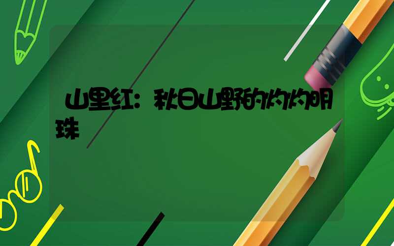 山里红：秋日山野的灼灼明珠