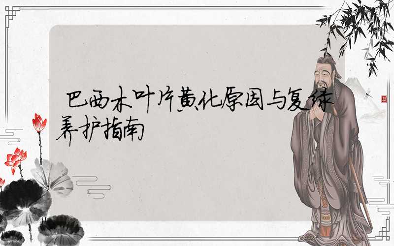 巴西木叶片黄化原因与复绿养护指南