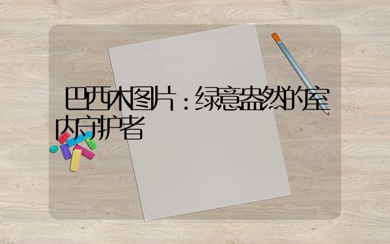 巴西木图片：绿意盎然的室内守护者