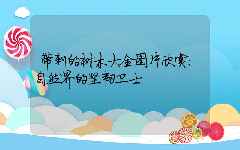 带刺的树木大全图片欣赏:自然界的坚韧卫士