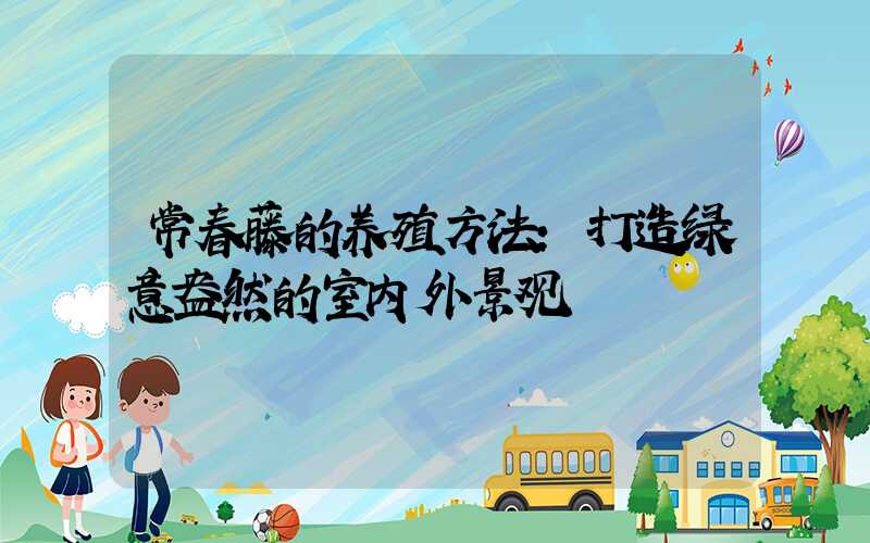 常春藤的养殖方法：打造绿意盎然的室内外景观