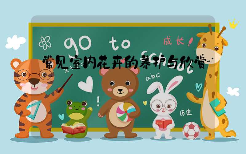 常见室内花卉的养护与欣赏