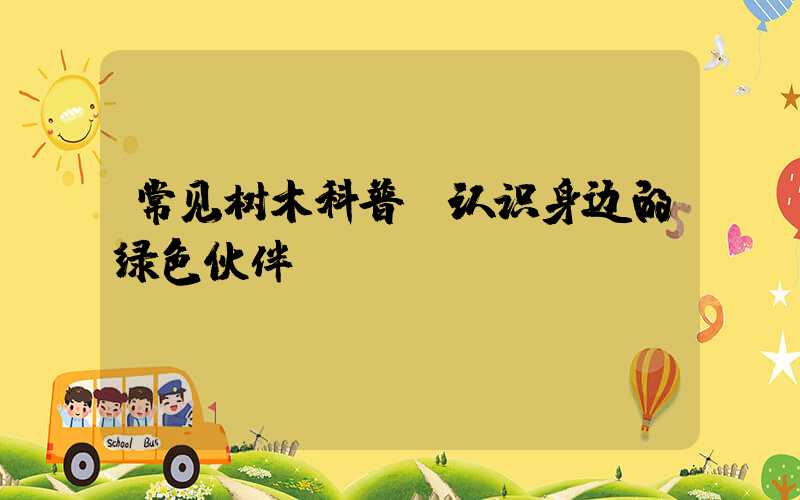 常见树木科普:认识身边的绿色伙伴