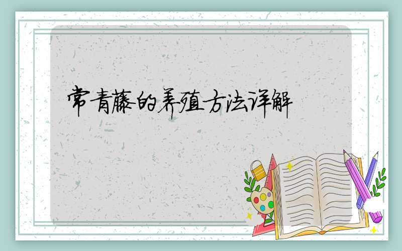 常青藤的养殖方法详解