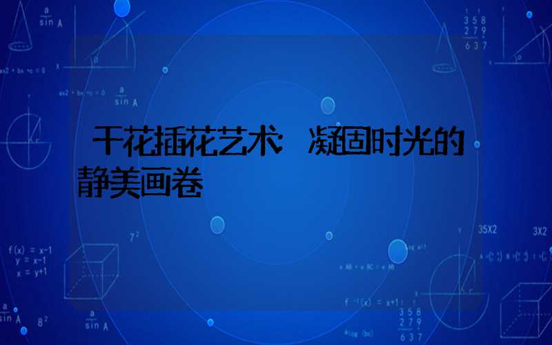 干花插花艺术:凝固时光的静美画卷