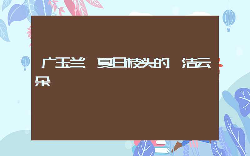 广玉兰:夏日枝头的皎洁云朵