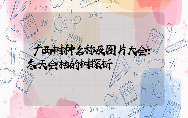 广西树种名称及图片大全：冬天会枯的树探析