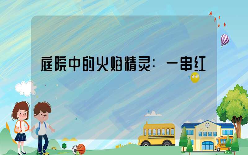 庭院中的火焰精灵:一串红