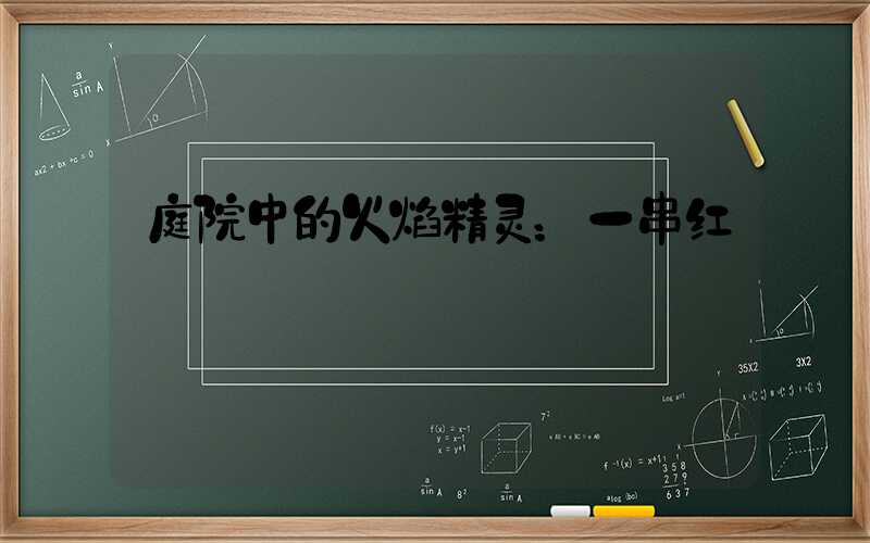 庭院中的火焰精灵：一串红