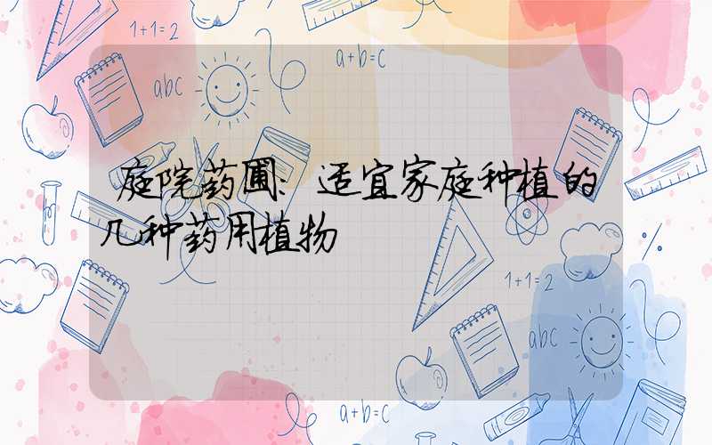 庭院药圃：适宜家庭种植的几种药用植物