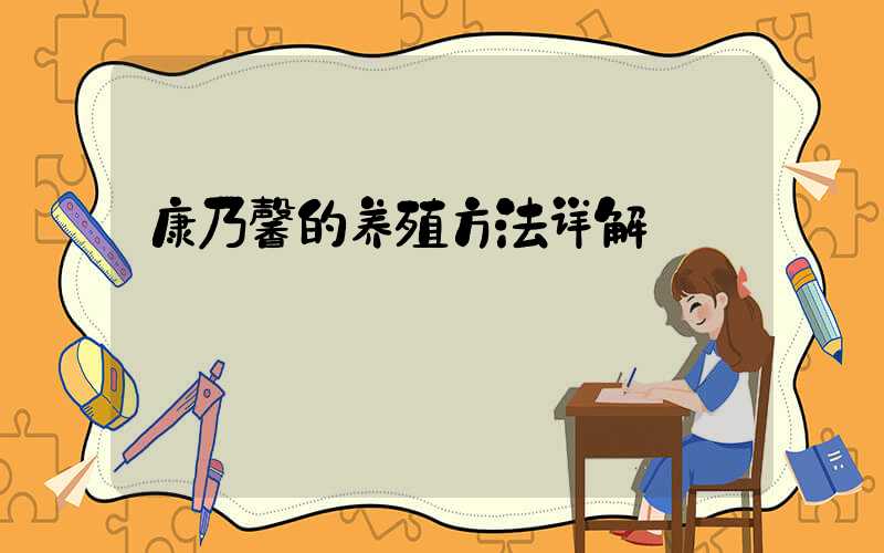 康乃馨的养殖方法详解