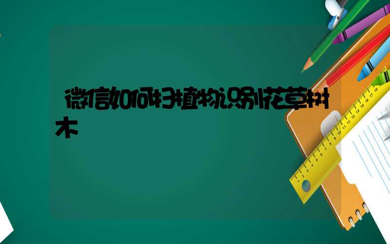 微信如何扫植物识别花草树木