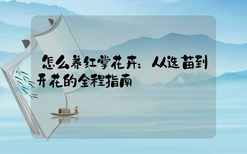 怎么养红掌花卉：从选苗到开花的全程指南