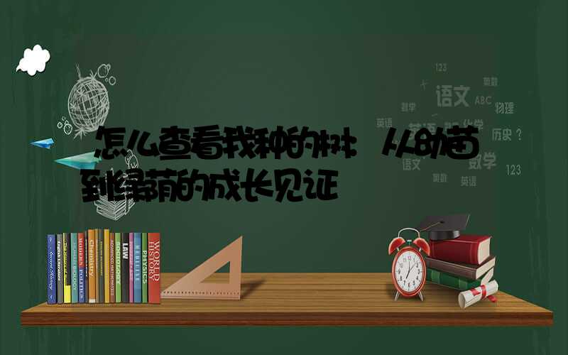 怎么查看我种的树:从幼苗到绿荫的成长见证
