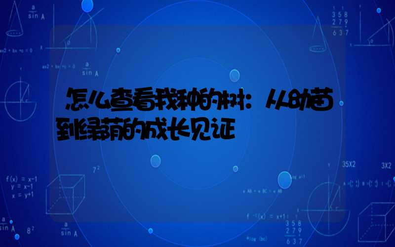怎么查看我种的树：从幼苗到绿荫的成长见证